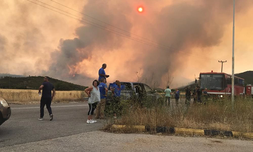 Πέππας για φωτιά στα Βίλια: Τεράστιο μέτωπο 20 χιλιομέτρων - Οι άνεμοι θα ενισχυθούν